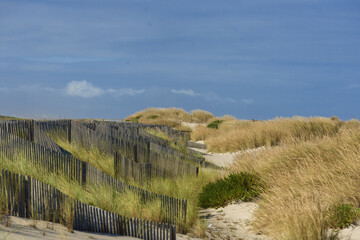 sand dunes and windbreak in Costa Nova, Aveiro district, Portugal