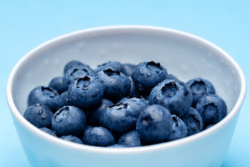 Blueberry fruit macro with dew drops background. 