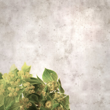 stylish textured old paper background with Bupleurum plant leaves and small flowers