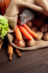 Rat on a wooden table with vegetables and kitchen utensils.