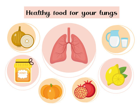 Healthy food for your lungs. Concept of food and vitamins, medicine, prevention of respiratory diseases. Vector illustration