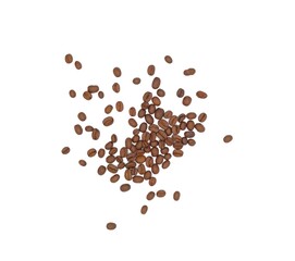 Roated coffee beans on white background