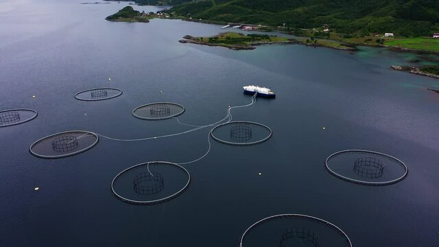 Aerial view of fish farm boat at a Aquaculture of salmonids fishery, cloudy day- tilt down, drone shot