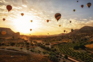 Early morning in the valley with rocks and balloons in the sky at dawn. A view from a height of vineyards, fields and houses. Cappadocia. Turkey.