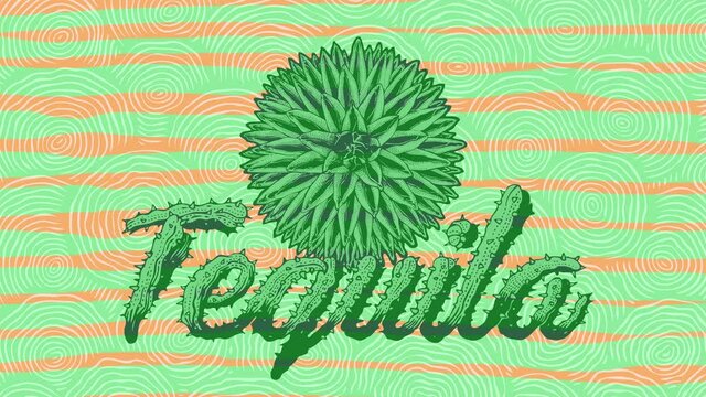 Motion animated background with Mexican Agave, Plant For The Production Of Tequila and Tequila Handwritten Typography. 