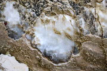 Diverse colored quartz rock in cut of the earth. Deposits of gray, white, orange quartz. Untreated semi-precious stones of  chalcedony variety in various stone deposits and layers of different rocks.