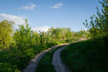 Fototapeta na wymiar Dirt road. Photo of a summer road in the fields
