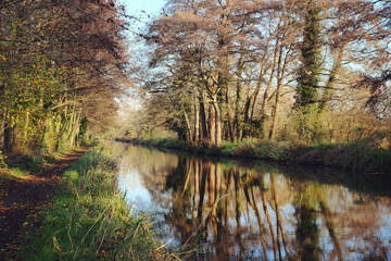A calm River Wey on a cold sunny winter's morning, Godalming, Surrey, UK