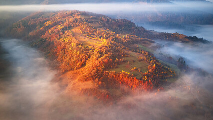 Beautiful Autumn mountain panorama. Morning thick fog cover valley aerial view. Red, Yellow, Orange trees on hillsides.
