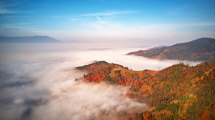 Beautiful Autumn mountain panorama. Morning thick fog cover valley. Sunny landscape with meadow and colorful forest