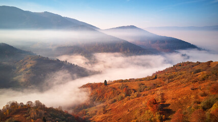 Beautiful Autumn mountain panorama. Morning thick fog cover valley