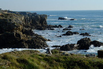 Fototapeta na wymiar The granite coast at Batz sur mer in november 2020.