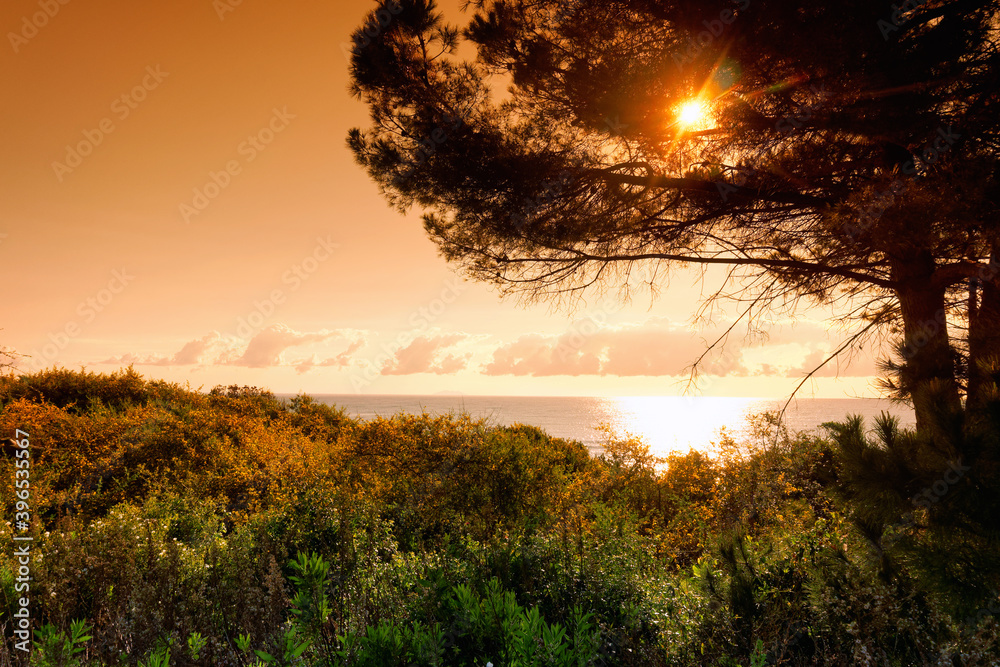 Canvas Prints linguizzetta coast in corsica island