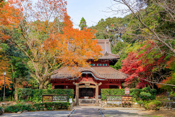 秋の多久聖廟　佐賀県多久市　Autumn Taku Seibyo Saga-ken Taku city