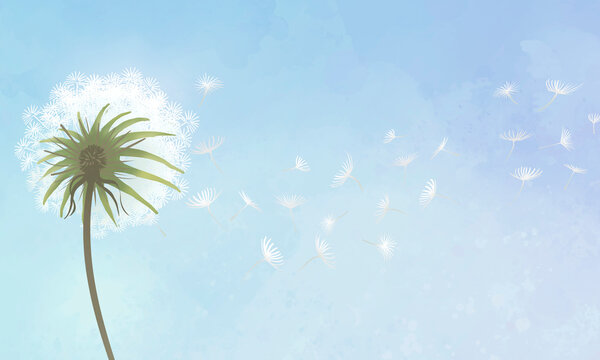 Hand drawn dandelion with a blue sky