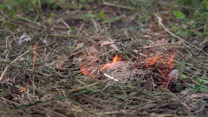 The thrown match set fire to the grass. A man threw a match on the dry grass. Fire hazard