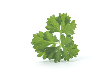 Fototapeta premium Closeup of organic parsley leaf on white background
