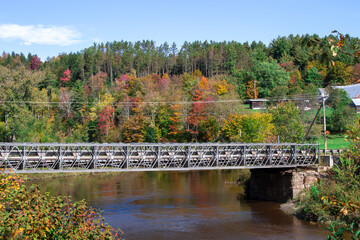 Fototapeta na wymiar New Bridge with Autumn Leaves