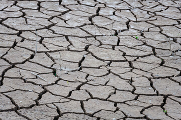 Barro agrietado formando composiciones abstractas