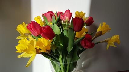 Bouquet of red tulips and yellow daffodils