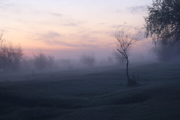 Fototapeta na wymiar pink dawn on the river fog morning summer