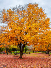 Historical Galena Town view at Autumn in Illinois of USA