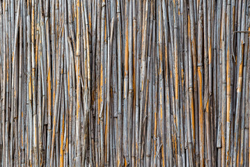 Yellow gray bamboo background. Fence from tied reed. A wooden tied wall with vertical reeds. Reed...