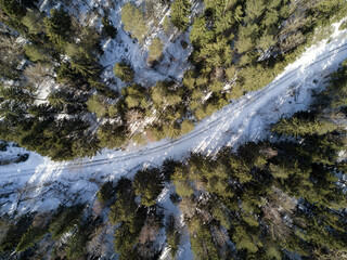 Empty road in a forest from a drone.
