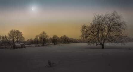 Winter night village landscape, haystack and tree illuminated by the moon