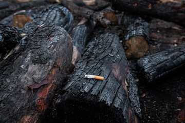 Close up of a lit cigarette on the black burned trees. the cause of a burned forest. Human error with cigarettes can cause dangerous forest fires, ecological catastrophes, environmental disasters.