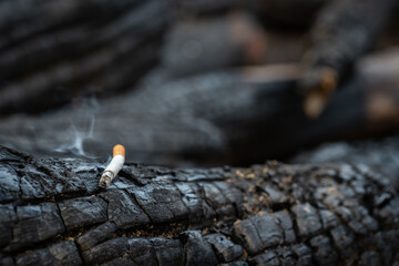 Close up of a Burning Cigarette lying on the black surface of a burned tree stump in a Forest....