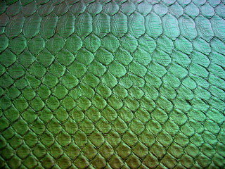 Natural exotic leather texture. Bright green python skin, snake skin. Green animalistic background.