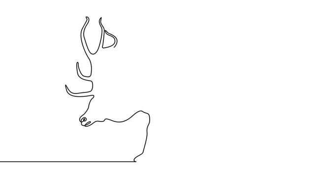 Self drawing simple animation of single continuous one line drawing animal, elk, deer, nature, wild, mammal, wildlife, forest . Drawing by hand, black lines on a white background.