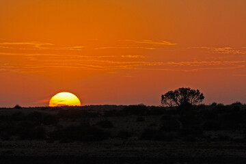 Sunrise over Australian outback
