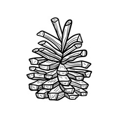Cone. Plant. Logo monochrome design. Line art. Ink vector illustration. Isolated on white background.