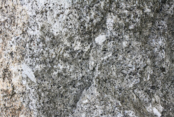 Granite surface. Intrusive igneous rock.