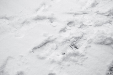 Fototapeta na wymiar snow on the ground street background