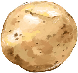 じゃがいも　イラストリアル
