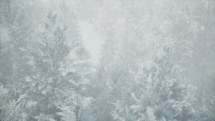 Winter snowfall in the forest, gentle lovely snowy Christmas morning with falling snow. Winter landscape. Snow covered trees and trails. Fog. Ultra realistic 3d illustration
