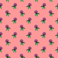 Seamless pattern of clover bud with leaves. Rose flower hand-drawn illustration. Botanical sketch of trefoil