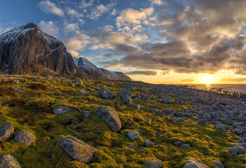 Fototapete bei efototapeten.de bestellen   