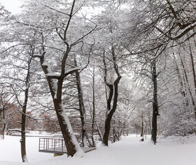 Snow storm, snowstorm in the city. Huge snowdrifts lie on the road. During the day, white snow...