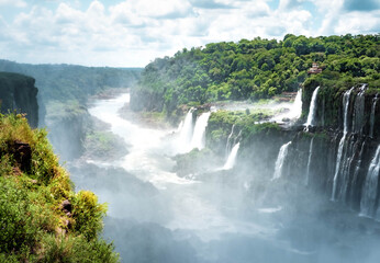 Fototapeta premium waterfall in the forest iguazu falls 