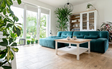 Fototapeta na wymiar Comforatble and modern sofa in living room with wooden floor ,big window and plant. Interior of room at home. Nobody