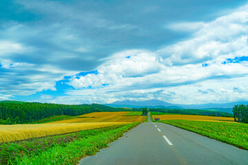 北海道の道路と大自然の平原