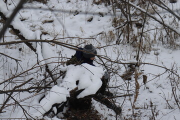 child on a walk in the woods