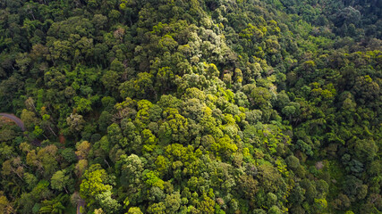 Fototapeta na wymiar Aerial view of forest and mountain areas.