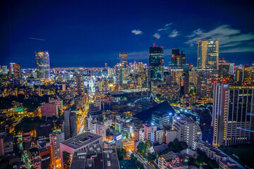 Fototapeta na wymiar 東京タワーから見える東京夜景