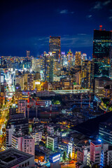 Fototapeta na wymiar 東京タワーから見える東京夜景