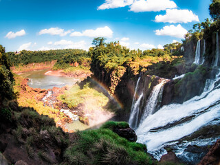 Fototapeta na wymiar waterfall in the forest iguazu falls 